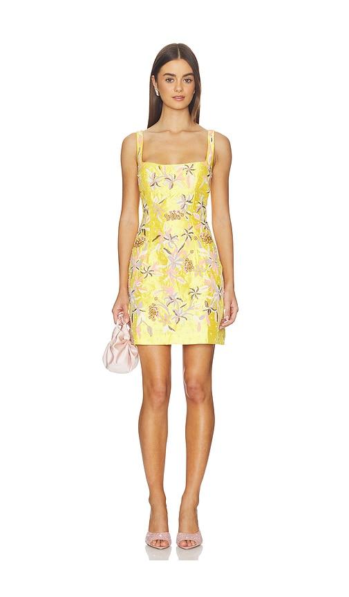 la fuori golden hour lily mini dress in yellow.