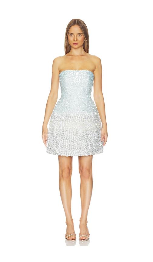 la fuori mystical garden embroidered dress in baby blue.