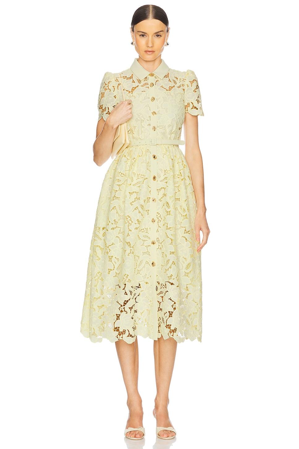 lace collared midi dress