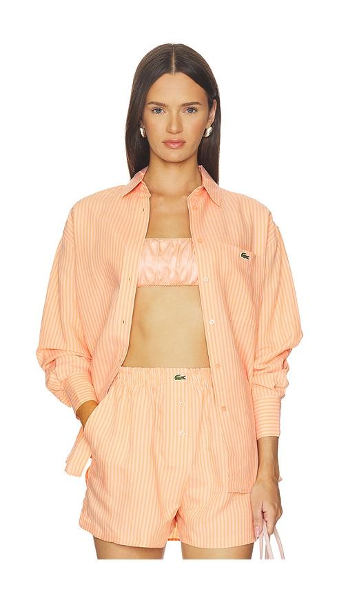 lacoste oversized fit toile shirt in peach.