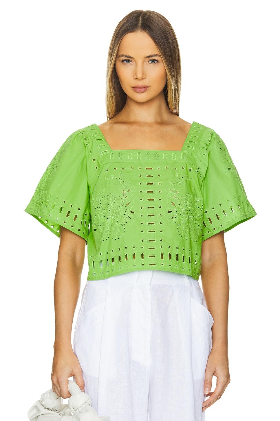 laine top