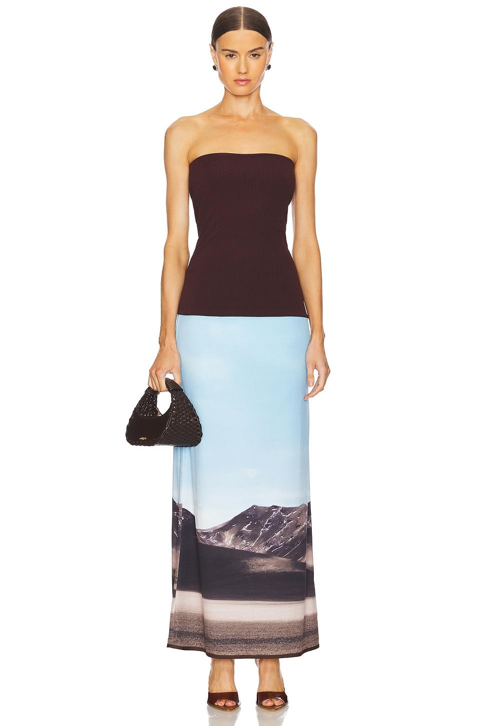 landscape two tone dress