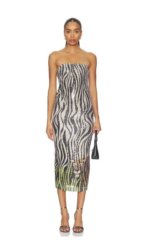 le superbe hidden tiger tube dress in metallic neutral,black.