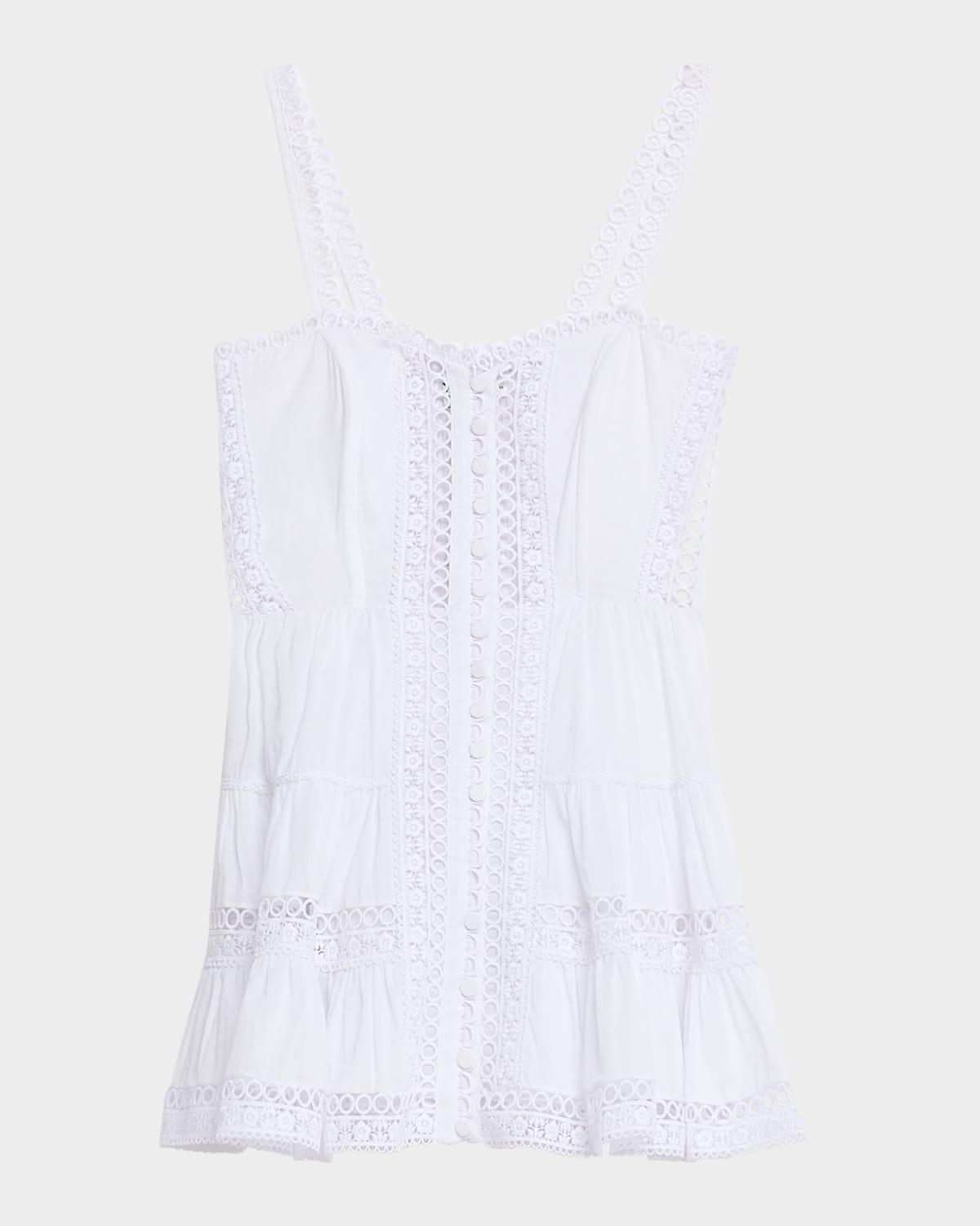 lenora embroidered mini dress
