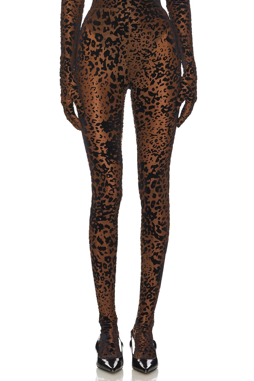 leopard burnout mesh stocking
