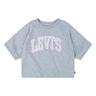 levi's girls' high rise graphic t-shirt, grey/pink, l