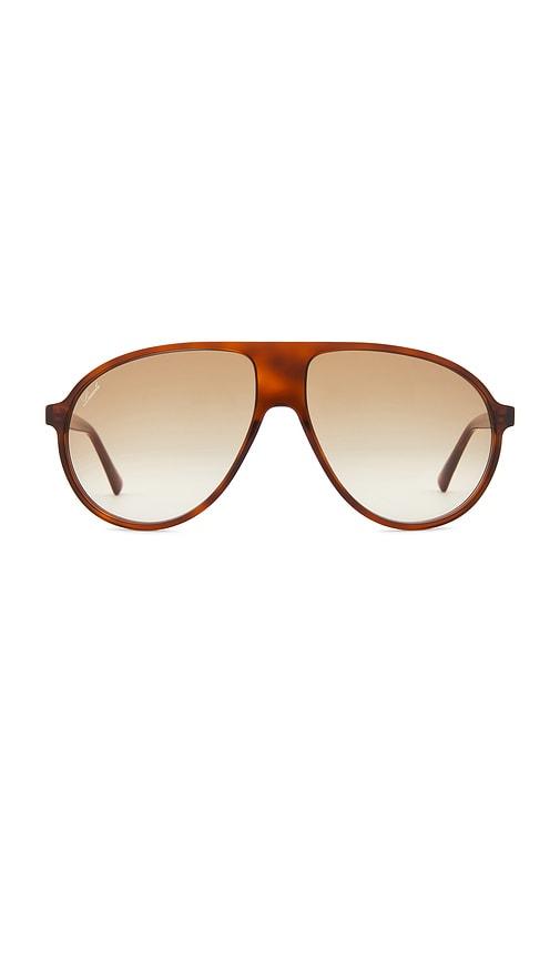 lexxola bella sunglasses in brown.
