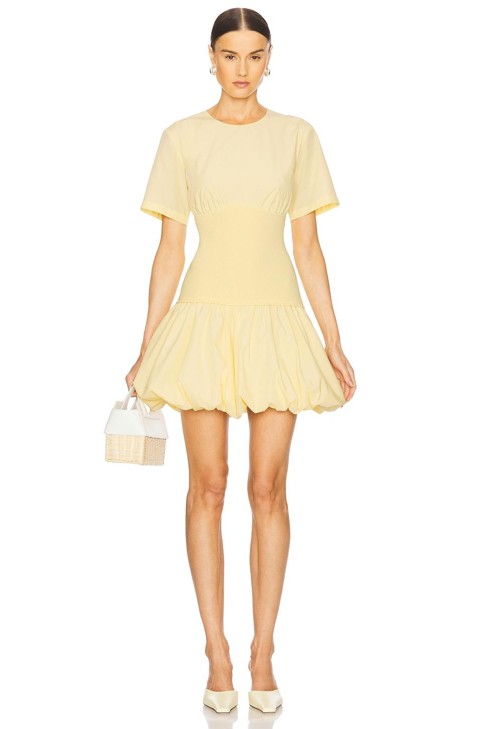libbie short sleeve mini dress