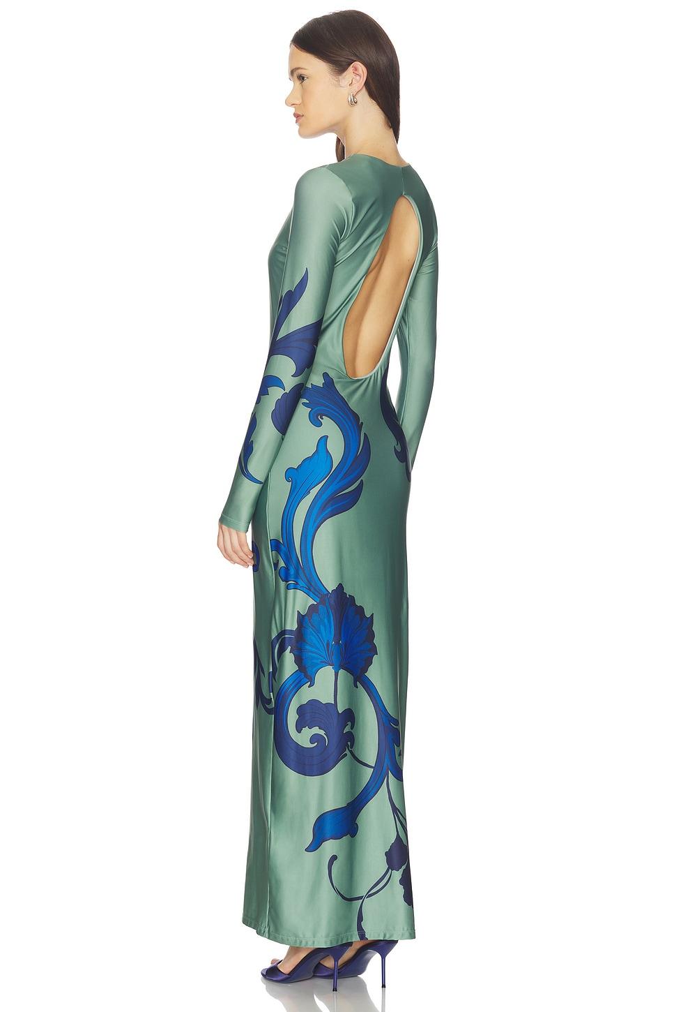 lim in bloom maxi dress