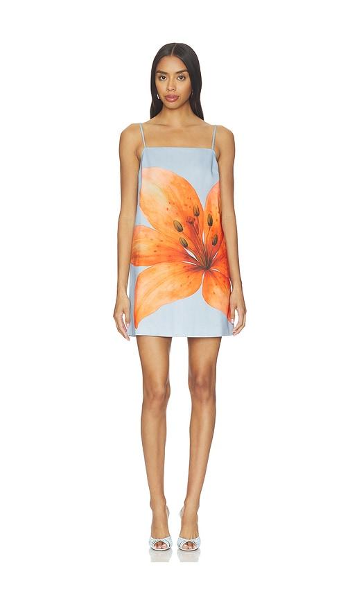 line & dot avah mini dress in baby blue,orange.