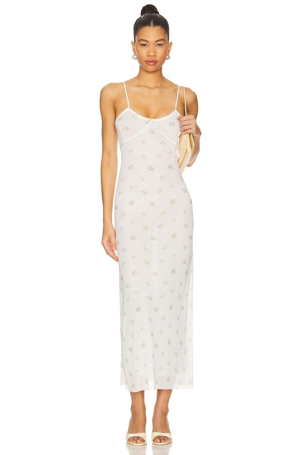 lingerie long mesh dress