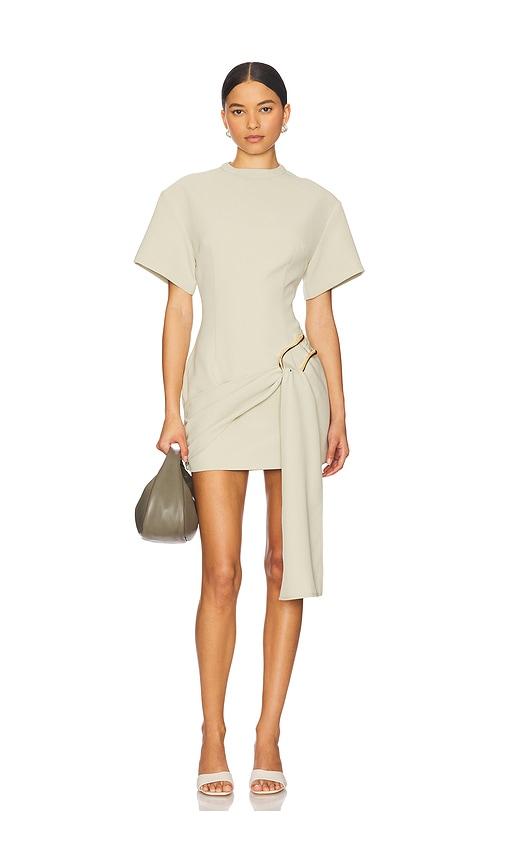 lioness martini mini dress in sage.