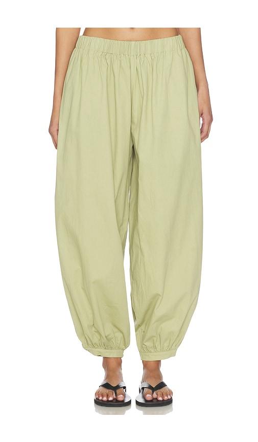 lioness wilderness pant in sage.