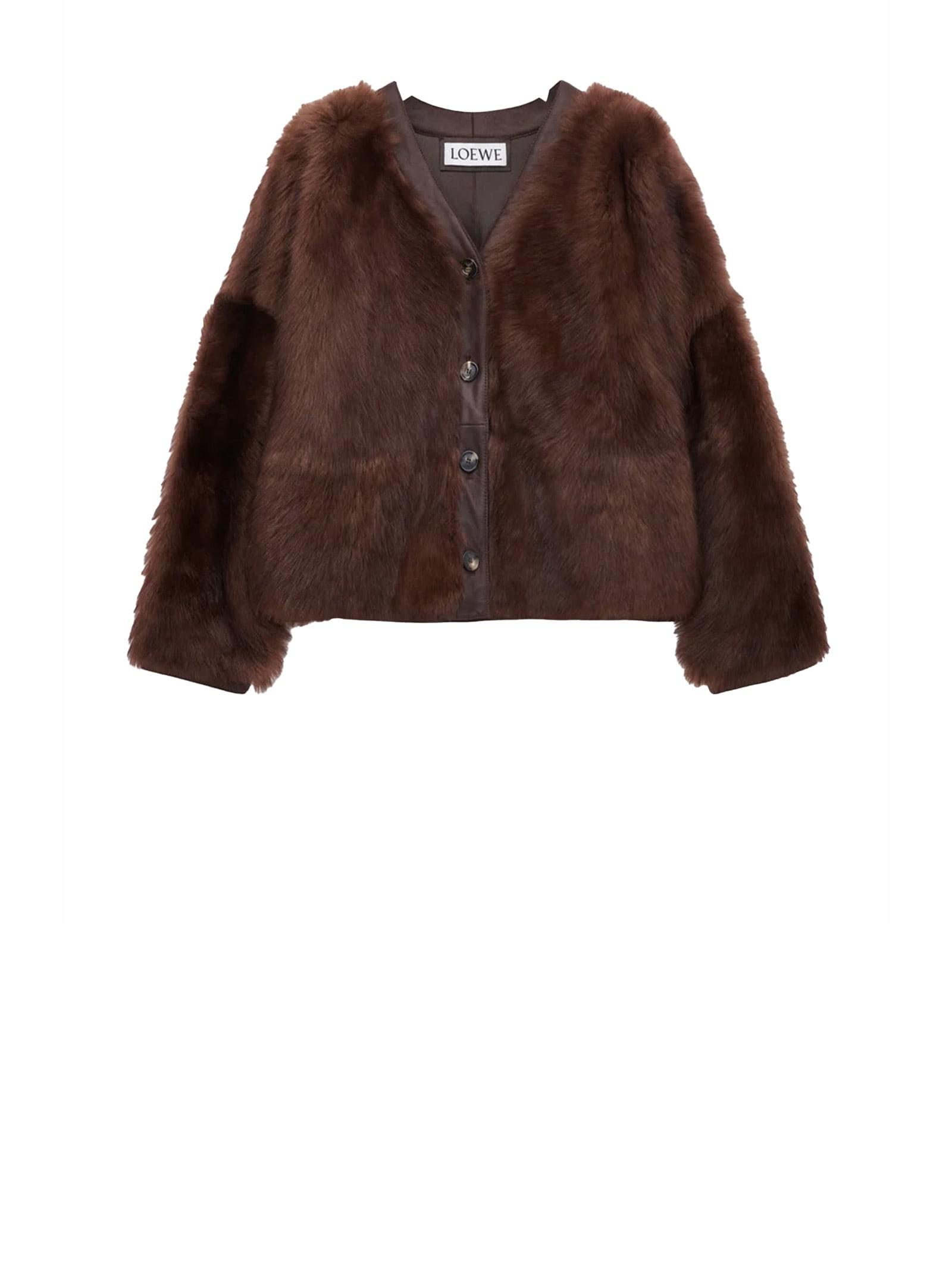 loewe coats brown