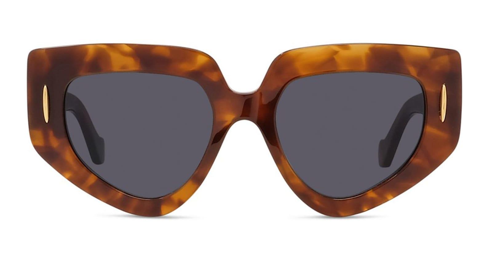 loewe lw40155i - havana sunglasses