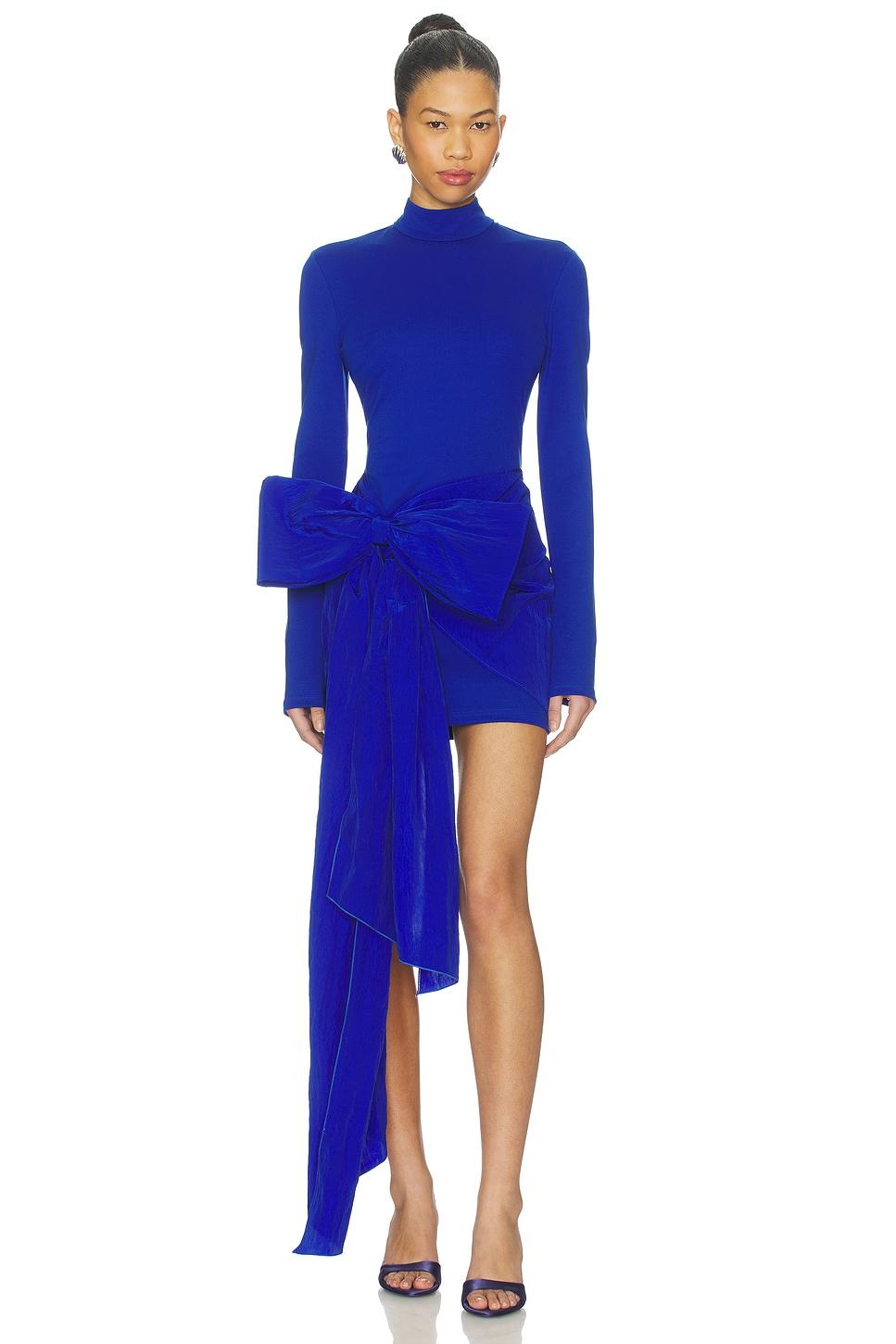 long sleeve mini dress