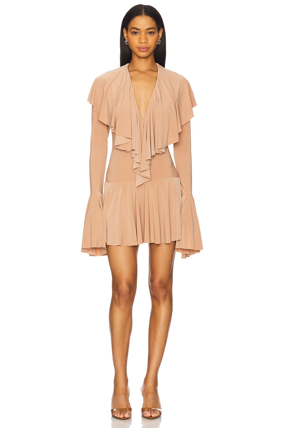 long sleeve ruffle mini dress