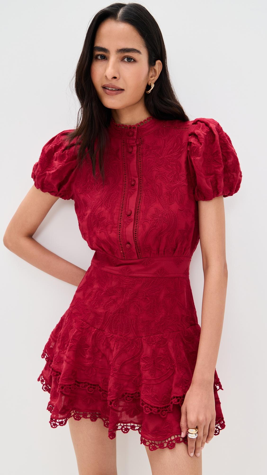 loryn embroidered dress