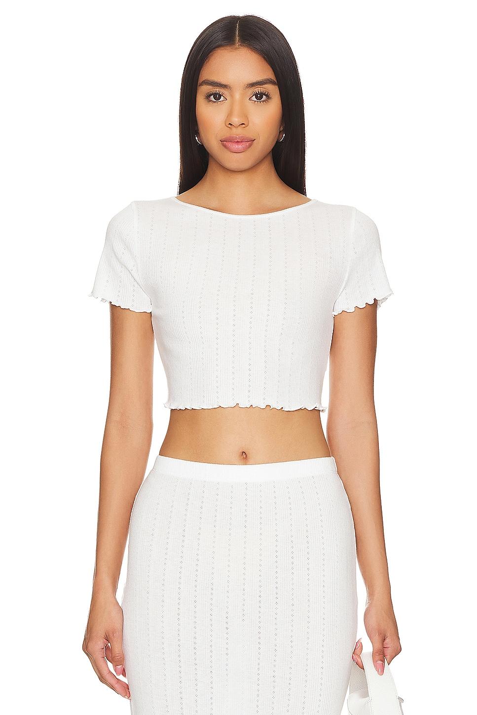 lottie top