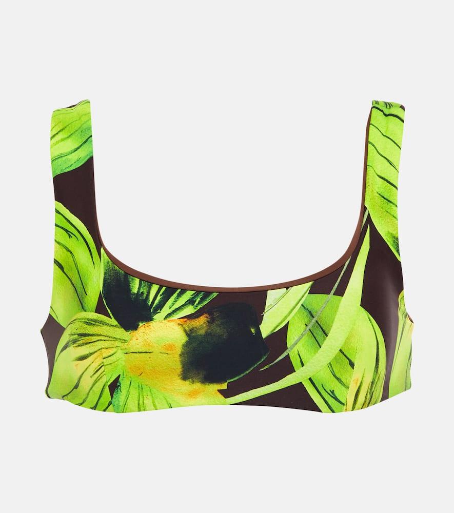 louisa ballou scoop printed bikini top
