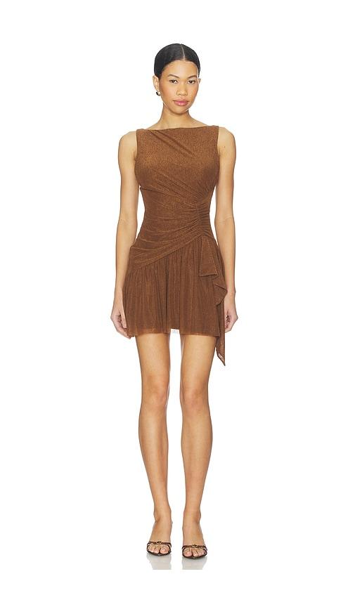 lovers and friends amari mini dress in brown.