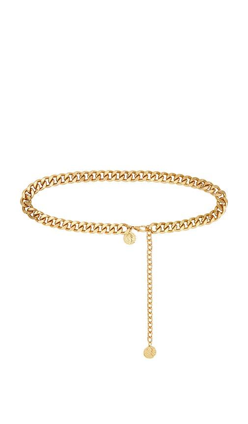 lovers and friends belicia belt in metallic gold.