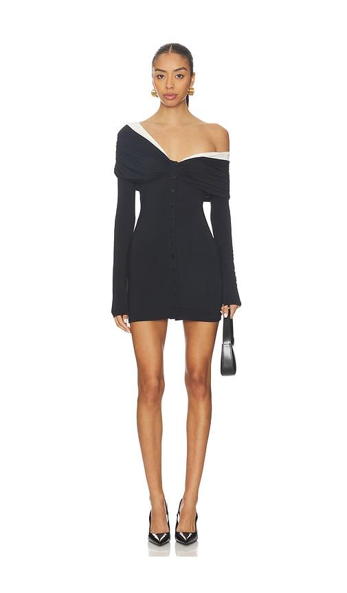 lovers and friends courtney mini dress in black,white.