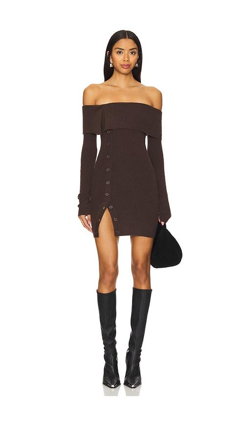 lovers and friends lexi mini dress in brown.