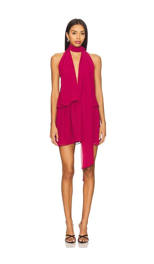 lovers and friends michelle mini dress in wine.