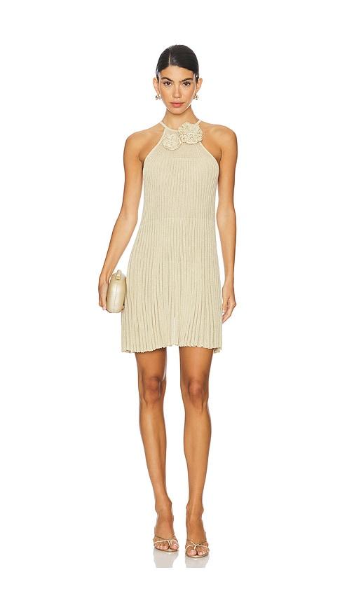 lovers and friends nance mini dress in neutral.