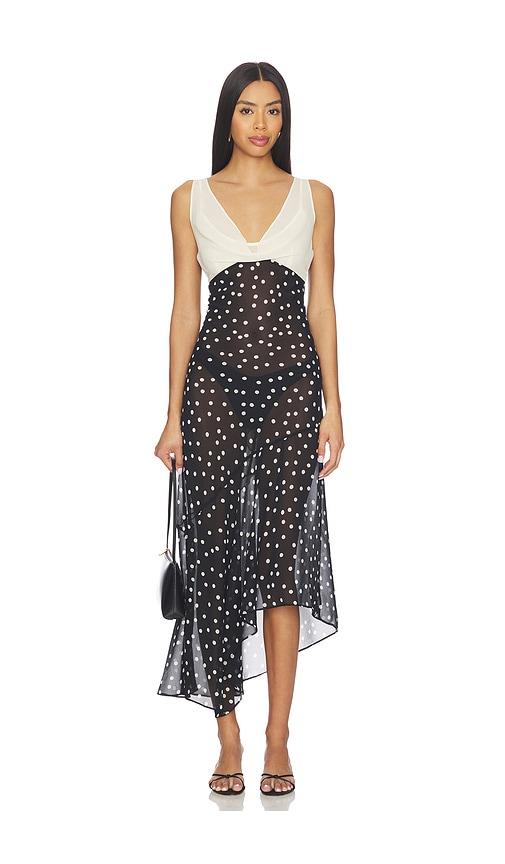 lpa dorothy maxi dress in black,white.