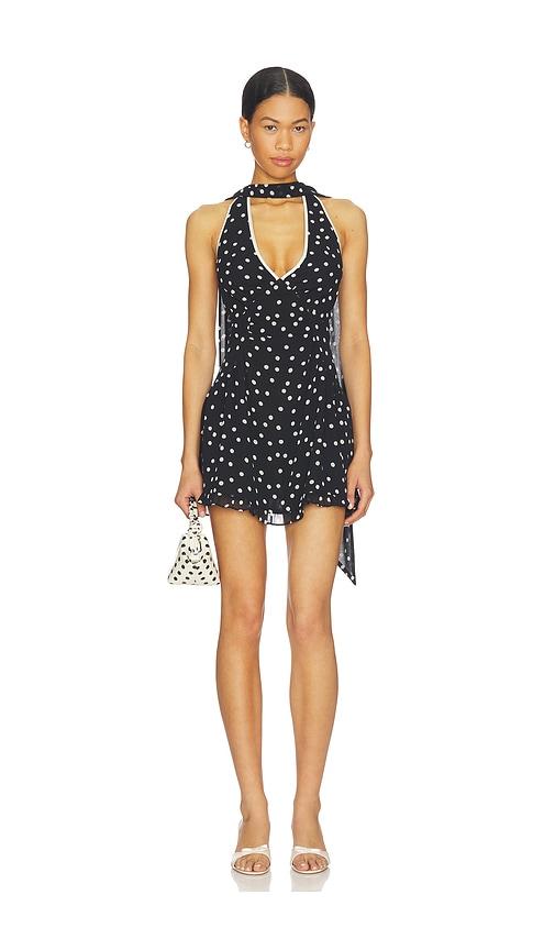 lpa dorothy mini dress in black,cream.