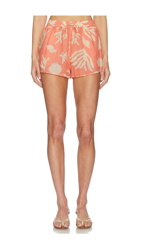 lspace rio short in coral.