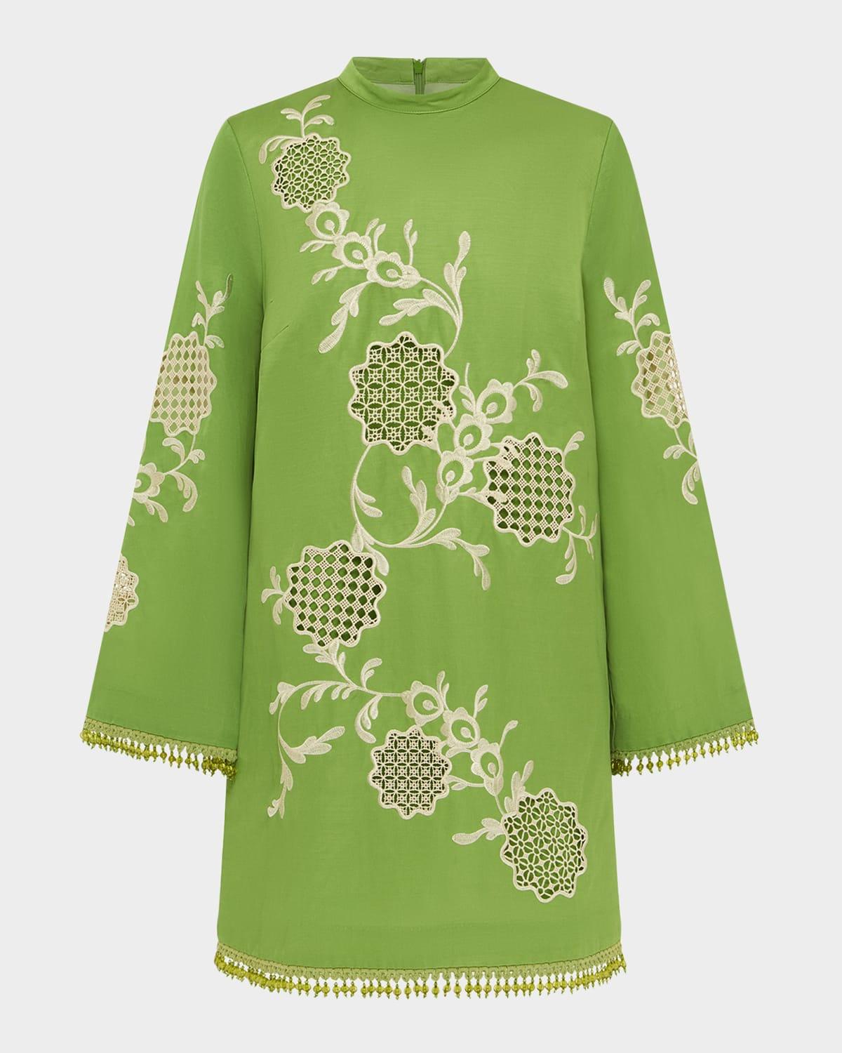 luisa embroidered mini dress