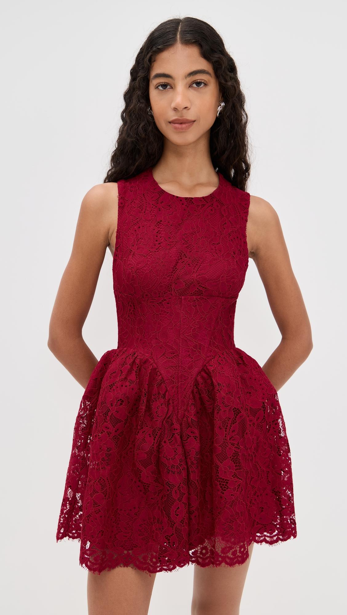 luisa lace mini dress