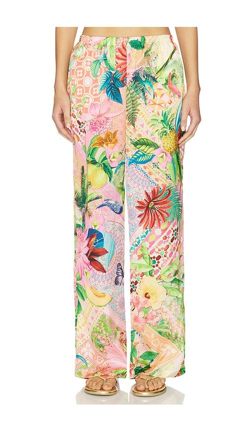 luli fama elastic waistband pant in pink,green.