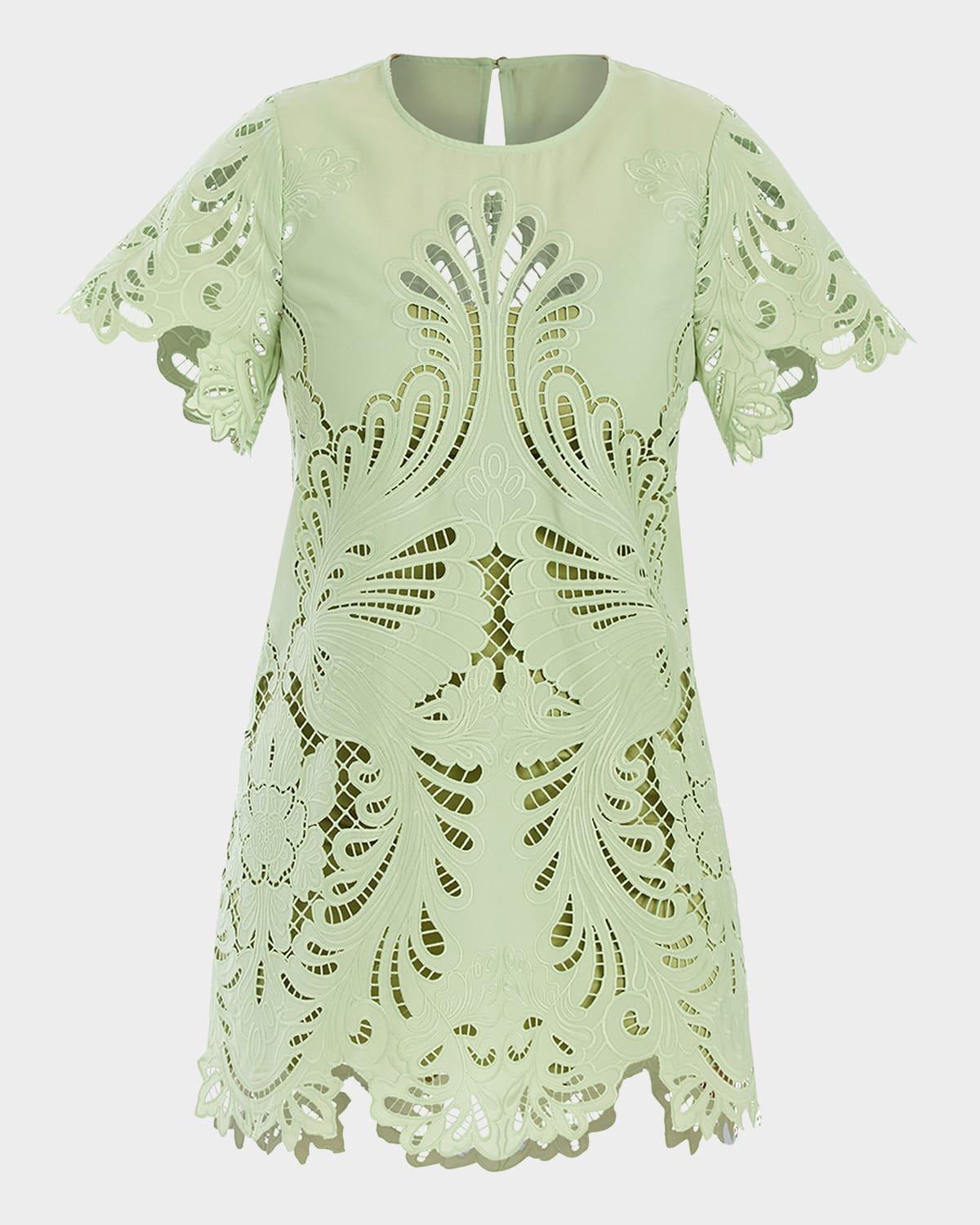 lupe cutout embroidered mini dress