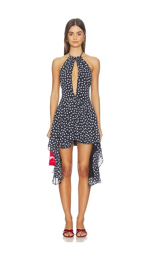 majorelle lita mini dress in black,white.