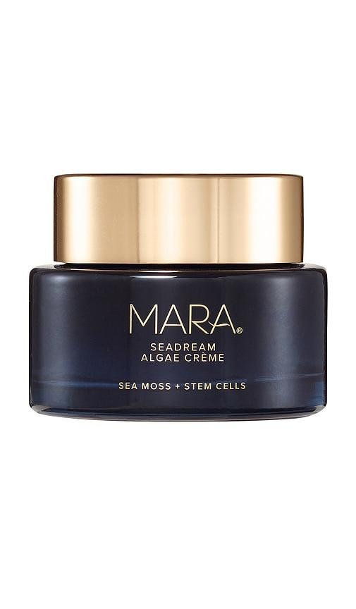 mara seadream algae creme moisturizer for firming & tightening in beauty: na.