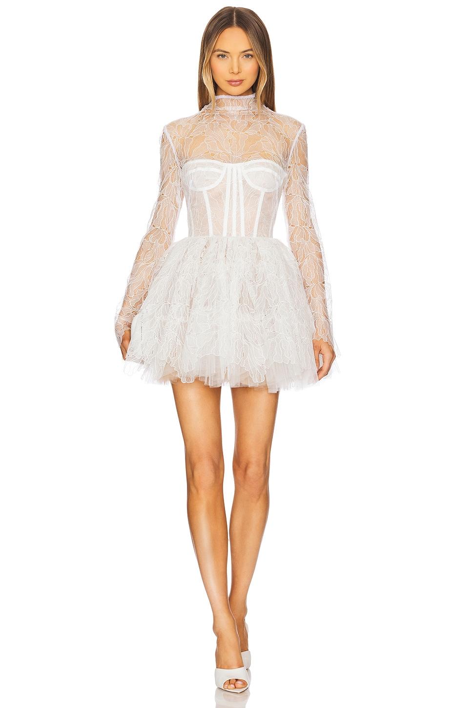 maraya arabella lace mini dress