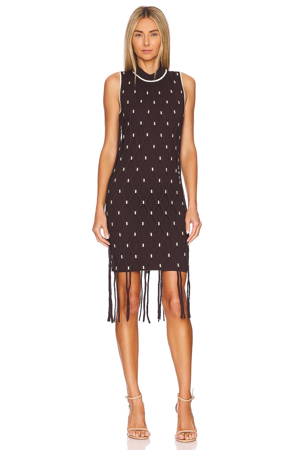 mariel mesh mini dress