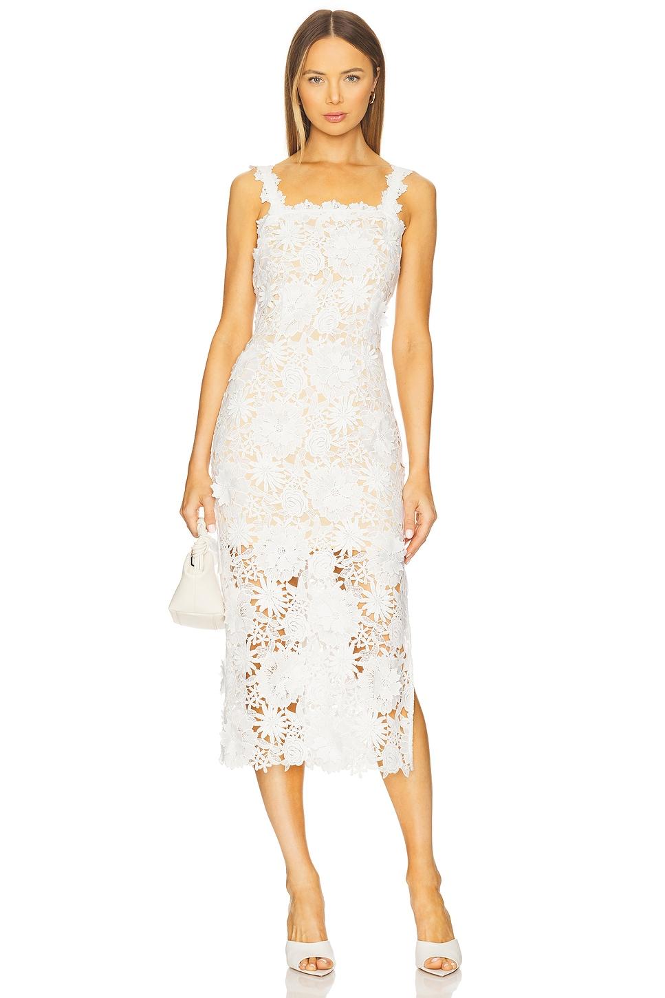 marnee lace dress