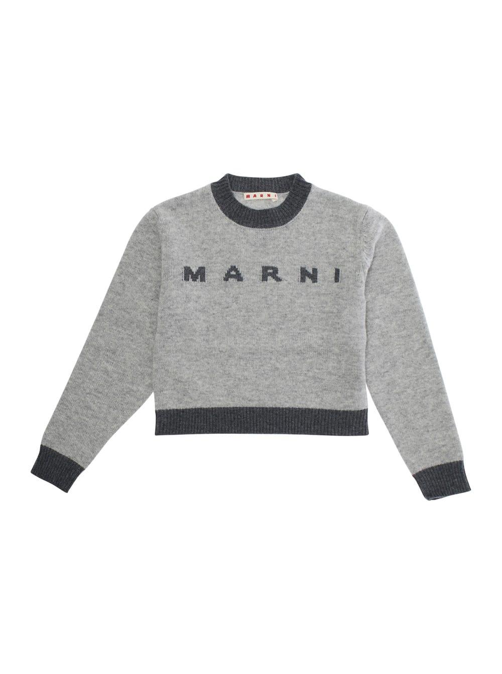 marni grey crewneck sweater with logo lettering on the front and contrasting trims in wool and cashmere girl