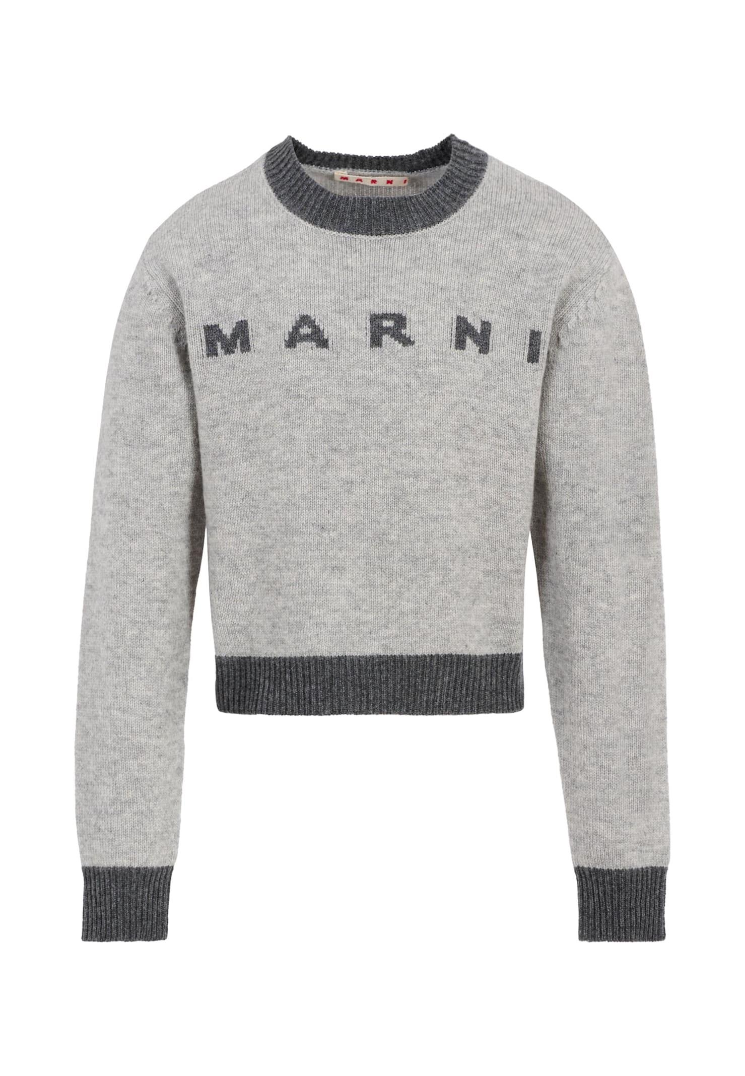 marni grey sweater for girl with logo