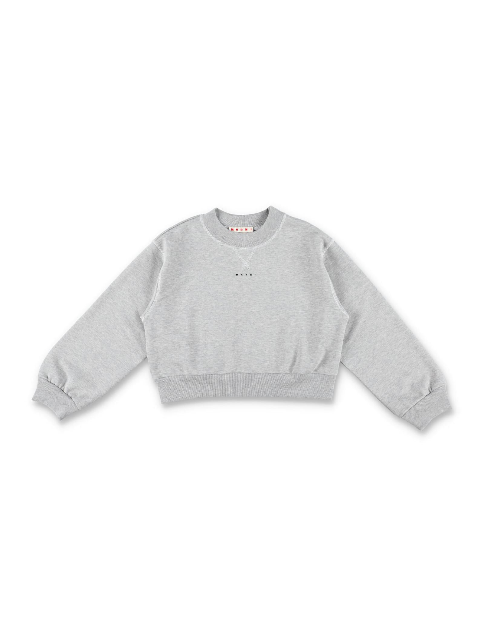 marni kid - cropped logo sweatshirt