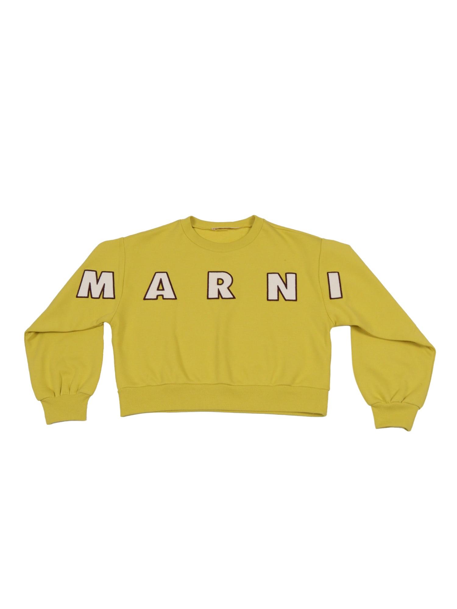 marni sweaters