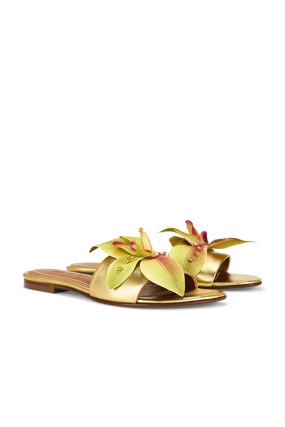 martha sandal