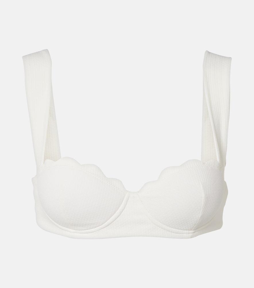 marysia north scalloped bikini top