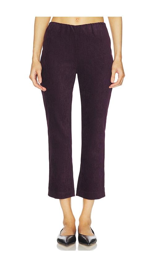 maude club jade pant in purple.