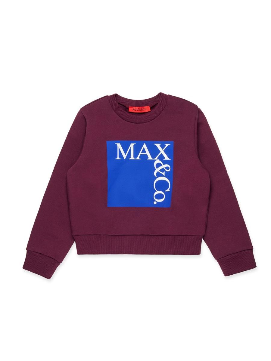 max & co. sweatshirt